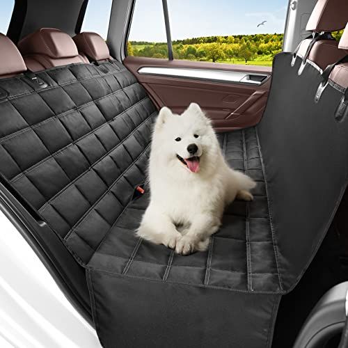 Hunde Autoschondecke - Auswahlhilfe für komfortables Reisen - StrawPoll